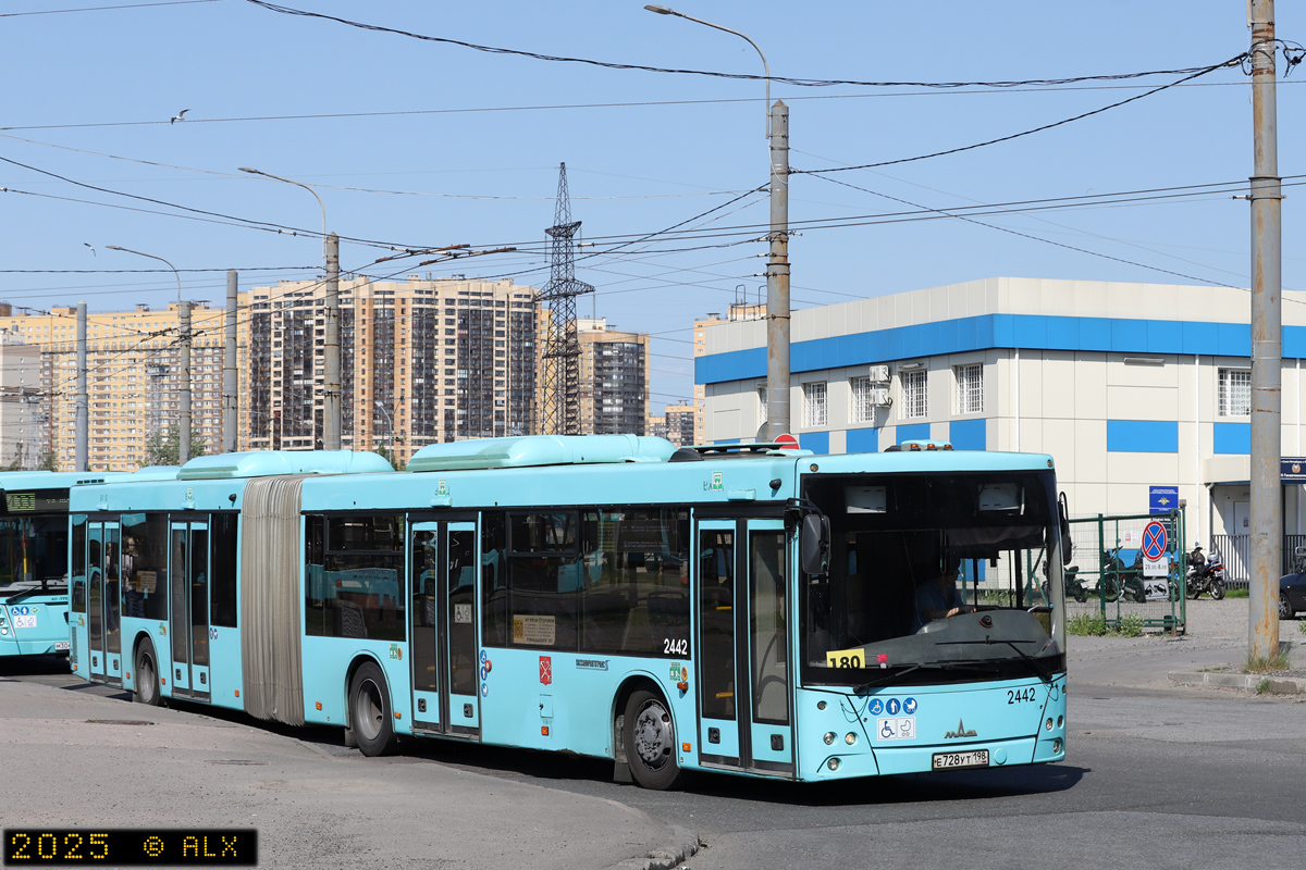 Saint Petersburg, MAZ-216.066 # 2442