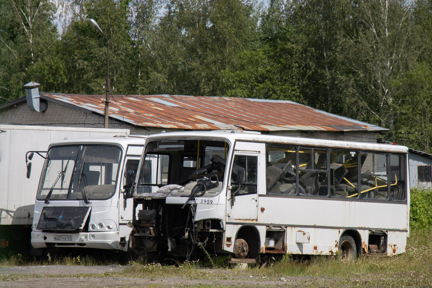 Санкт-Петербург, ПАЗ-320402-03 № n909