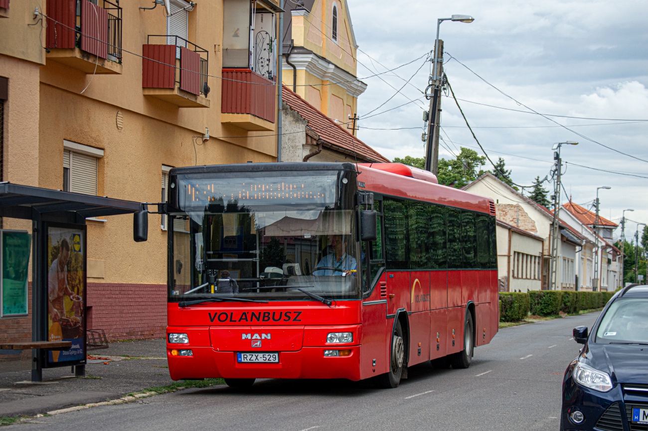 Венгрия, MAN A72 Lion's Classic SÜ363 № RZX-529 Венгрия, MAN A72 Lion's Classic SÜ363 № RZX-529