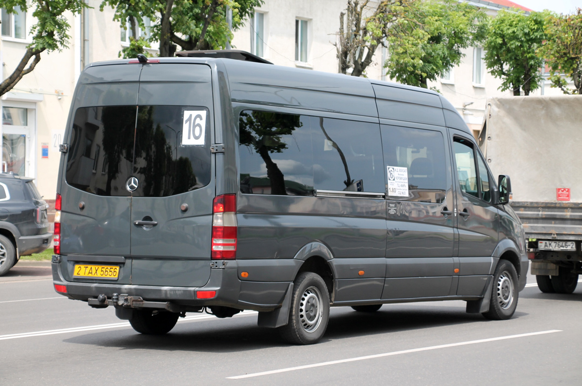 Витебская область, Mercedes-Benz Sprinter W906 310CDI № 2 ТАХ 5656