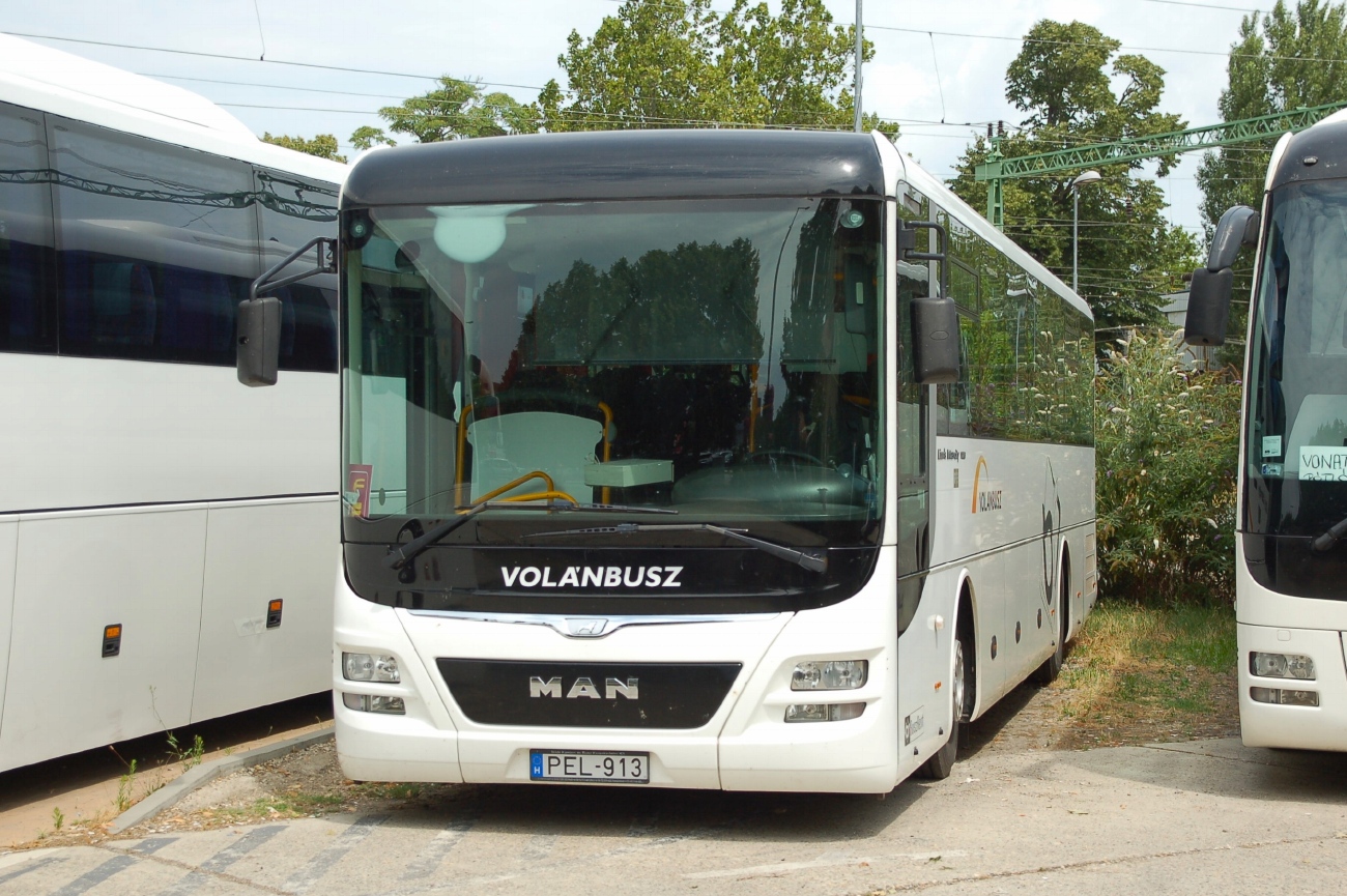 Венгрия, MAN R60 Lion's Intercity ÜL290 № PEL-913