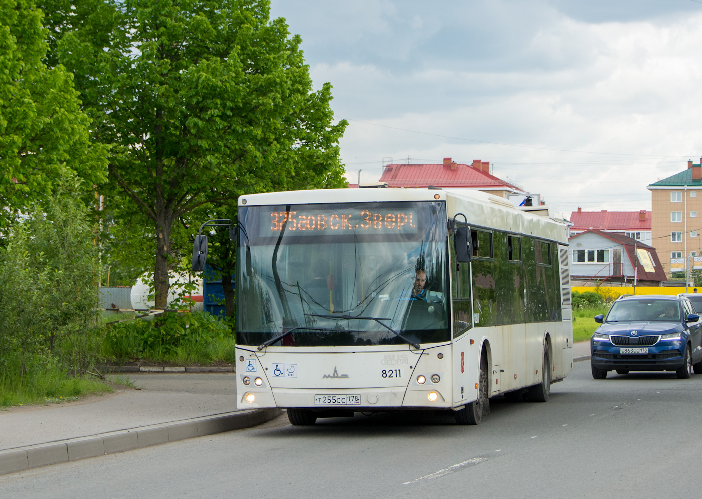 Санкт-Петербург, МАЗ-203.085 № 8211