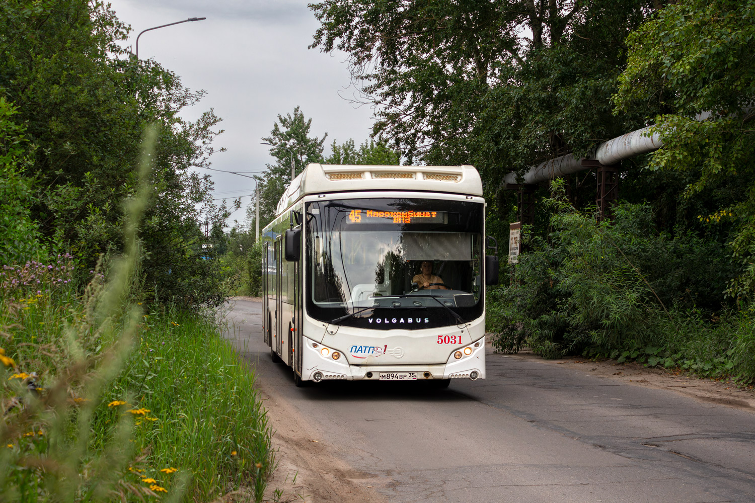 Vologda region, Volgabus-5270.G4 (CNG) # 5031