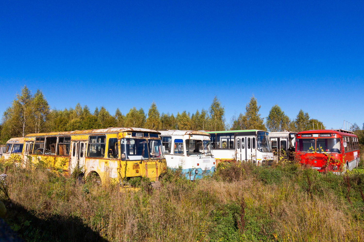 Москва, ЛиАЗ-677М № 07867; Московская область — Разные фотографии