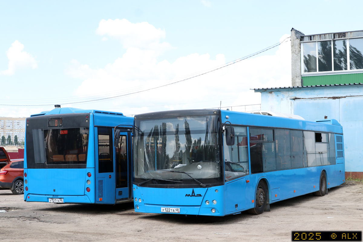Воронежская область, МАЗ-203.069 № 02046