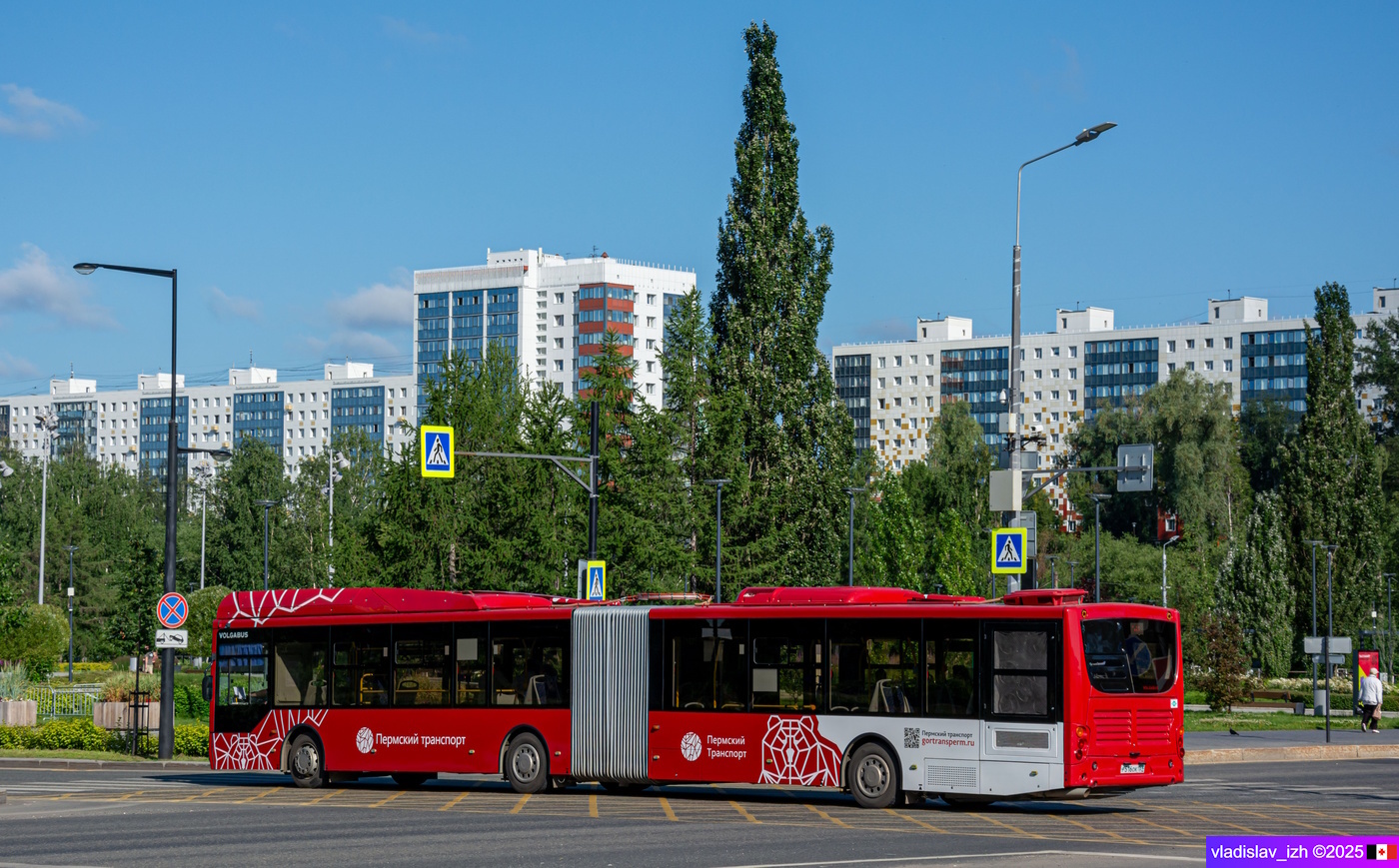 Пермский край, Volgabus-6271.G2 № Р 516 ОК 159