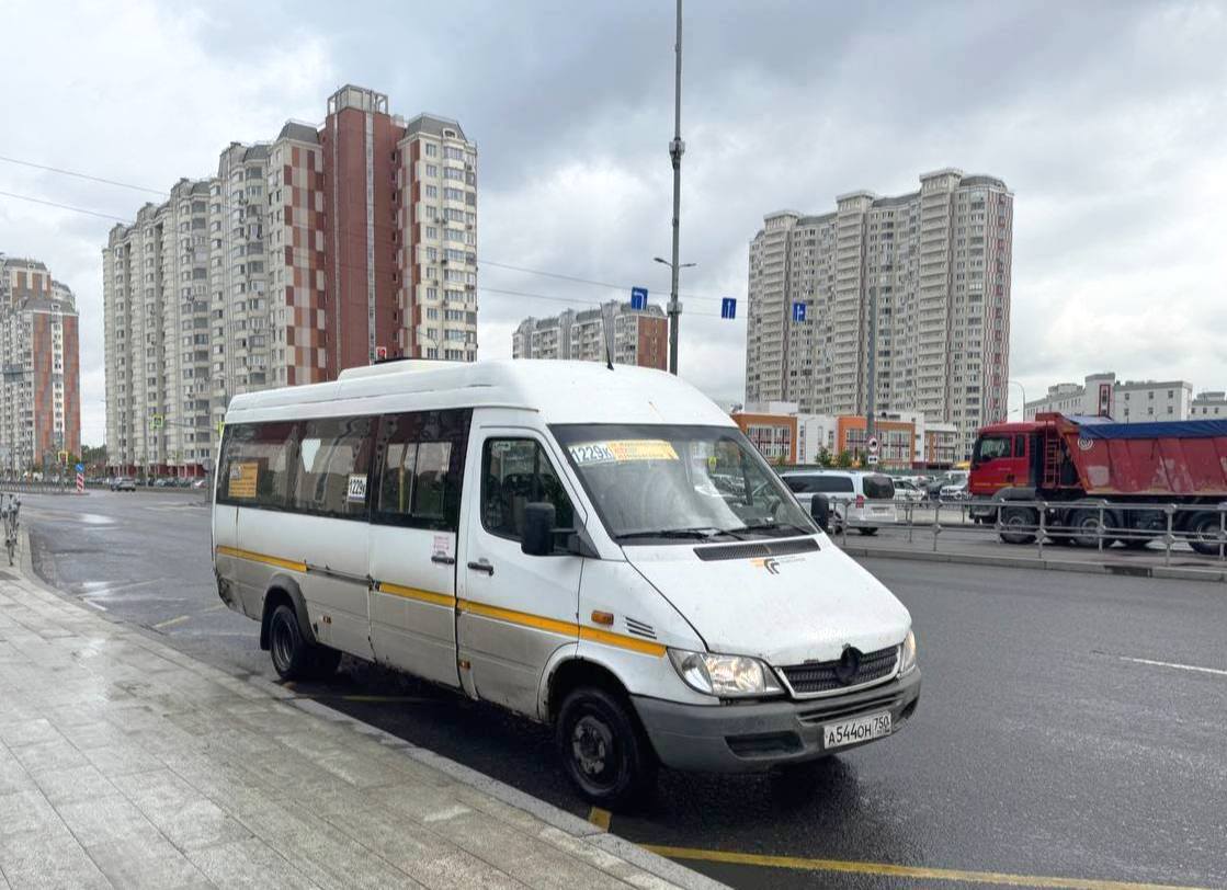 Московская область, Луидор-223237 (MB Sprinter Classic) № 013659