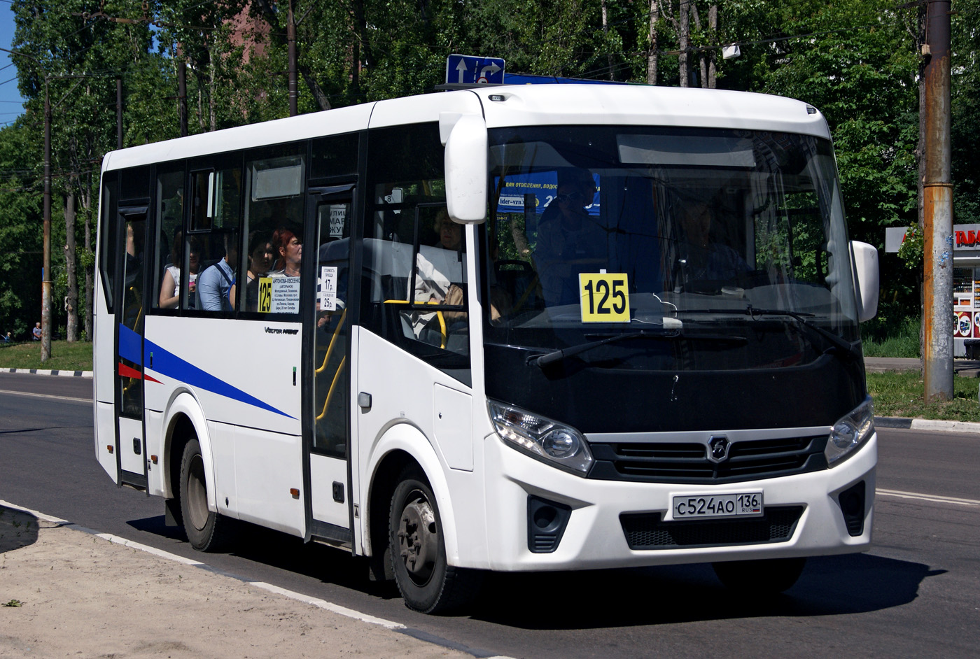 Воронежская область, ПАЗ-320405-04 "Vector Next" № С 524 АО 136