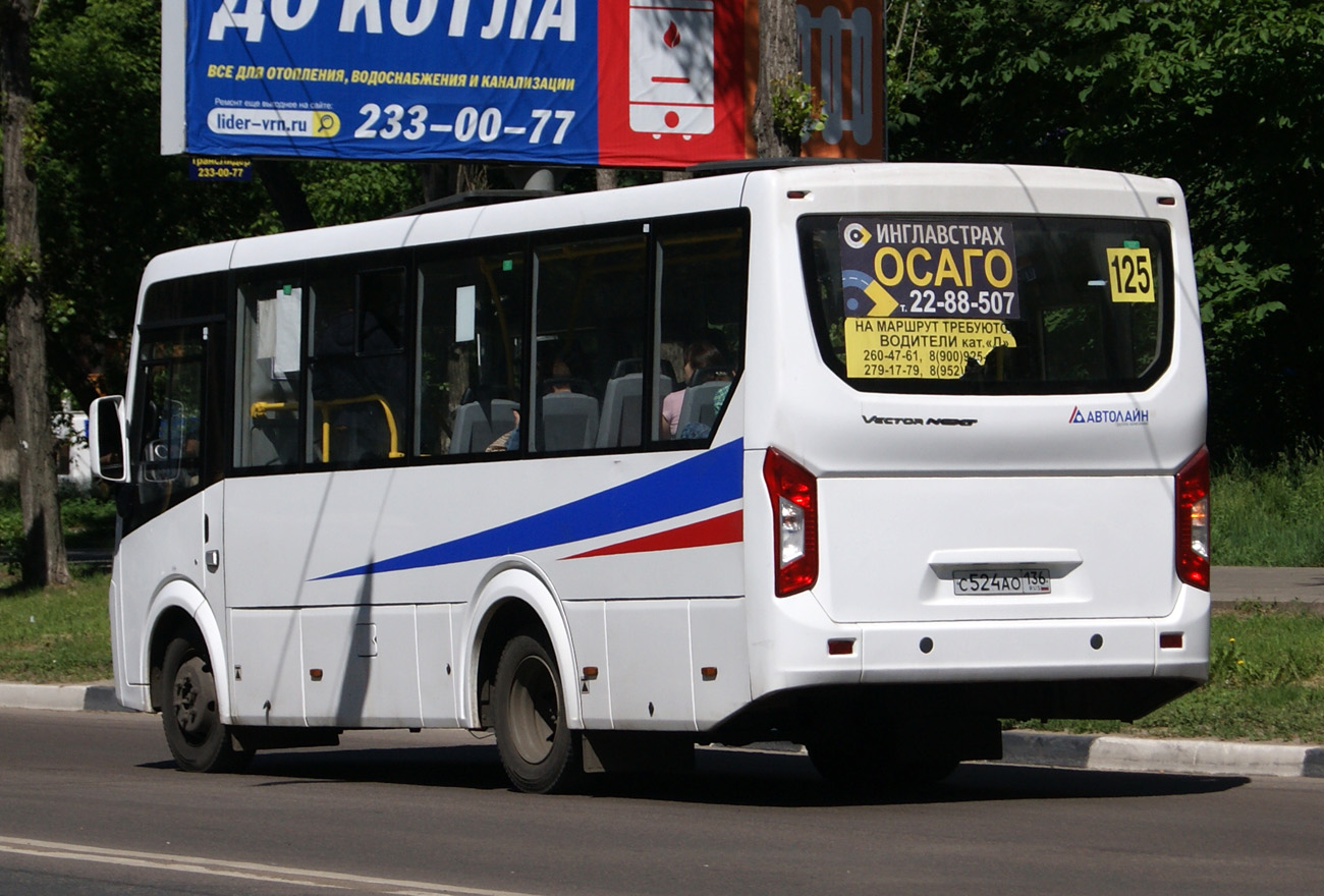 Воронежская область, ПАЗ-320405-04 "Vector Next" № С 524 АО 136
