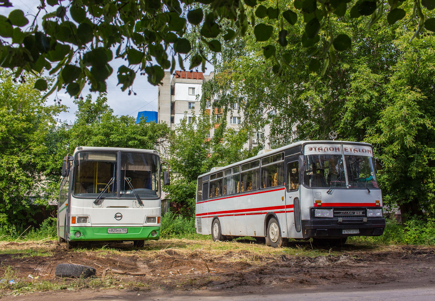 Нижегородская область, ЛиАЗ-5256.53-01 № Х 825 КВ 152; Нижегородская область, Ikarus 256.75 № А 105 АЕ 07