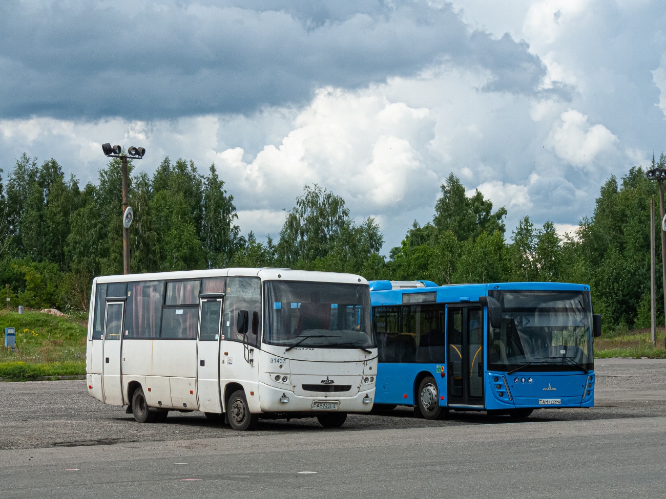 Гродненская область, МАЗ-256.270 № 31437