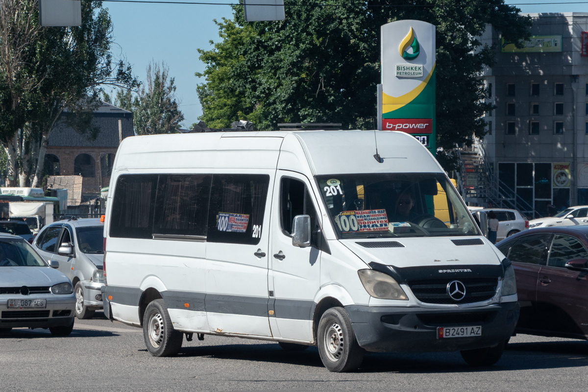 Кыргызстан, Mercedes-Benz Sprinter W906 309CDI № B 2491 AZ