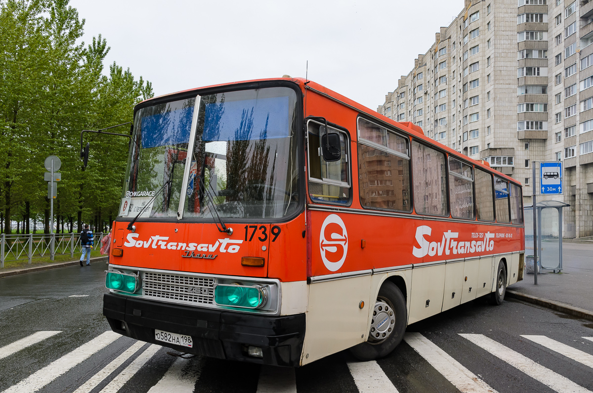 Санкт-Петербург, Ikarus 250.59 № О 582 НА 198; Санкт-Петербург — VI Международный транспортный фестиваль "ТранспортФест-2025"