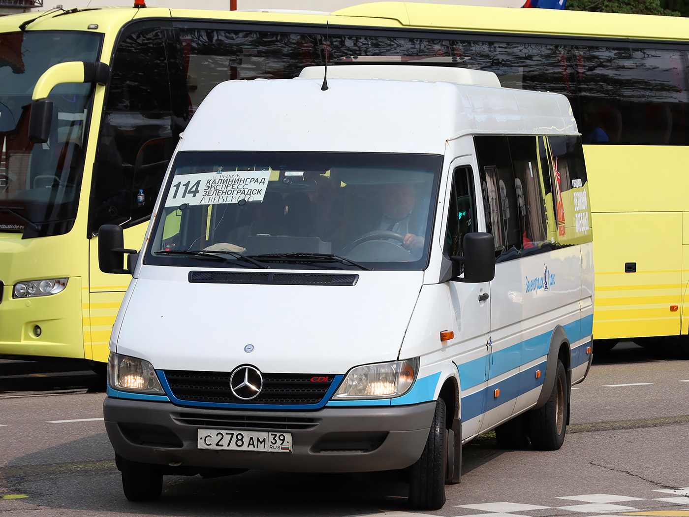 Калининградская область, Луидор-223206 (MB Sprinter Classic) № 142