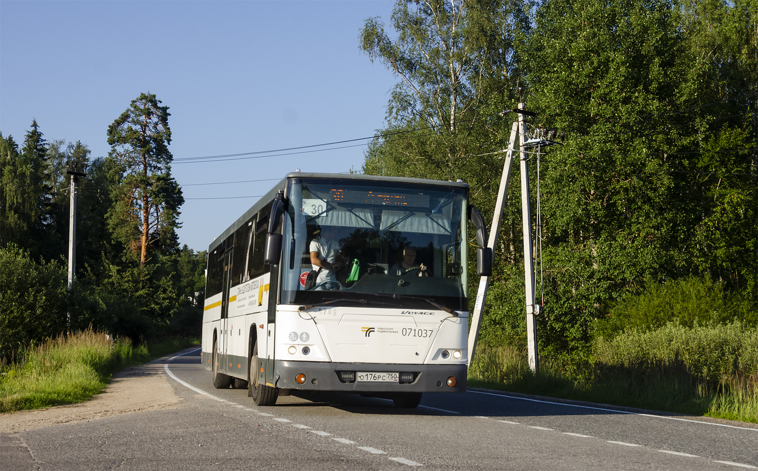 Московская область, ЛиАЗ-5250 № 071037