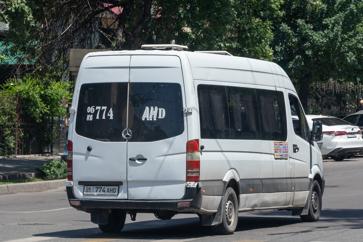 Кыргызстан, Mercedes-Benz Sprinter W906 315CDI № 06 774 AHD