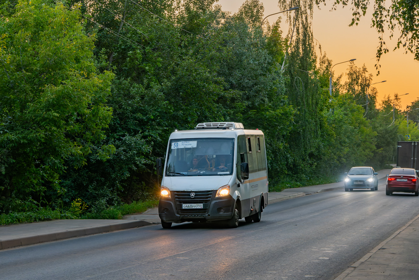 Московская область, Луидор-2250DS (ГАЗ Next) № 052037