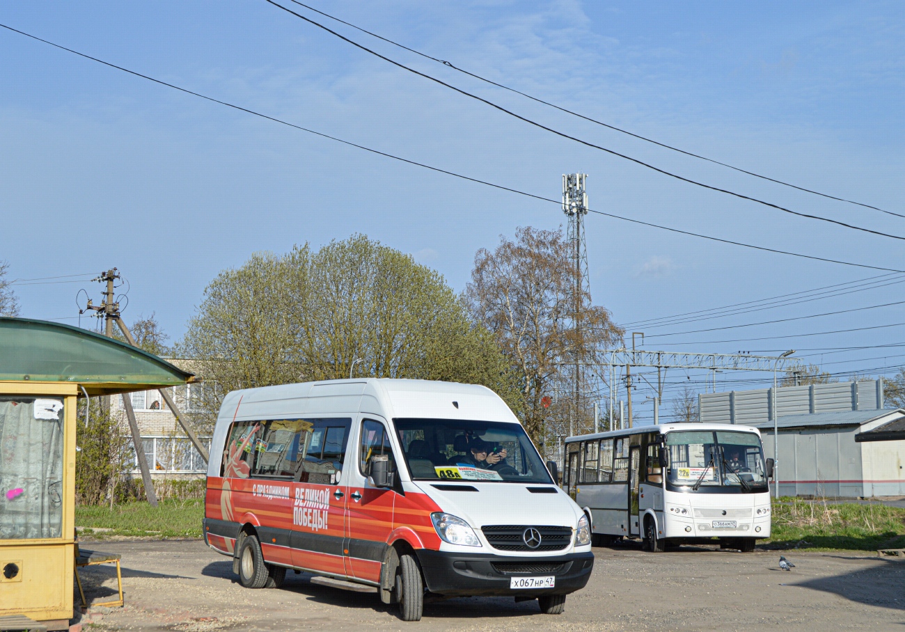 Ленинградская область, Луидор-22360C (MB Sprinter) № Х 067 НР 47