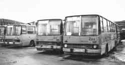 Санкт-Петербург, Ikarus 280.33 № 4113; Санкт-Петербург, Ikarus 280.33 № 4314; Санкт-Петербург, Ikarus 280.33 № 4218; Санкт-Петербург, Ikarus 280.33 № 4618