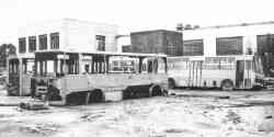 Санкт-Петербург, Ikarus 280.33 № 4802; Санкт-Петербург, Ikarus 280.33 № 4955
