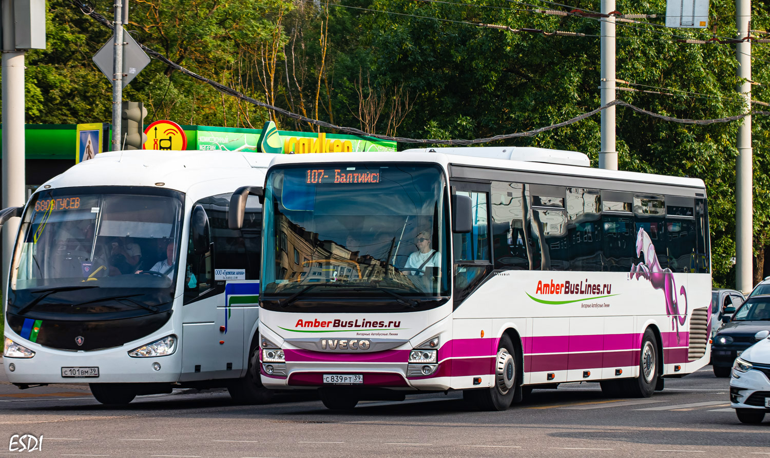 Калининградская область, IVECO Crossway LINE 12M [E5] № С 839 РТ 39