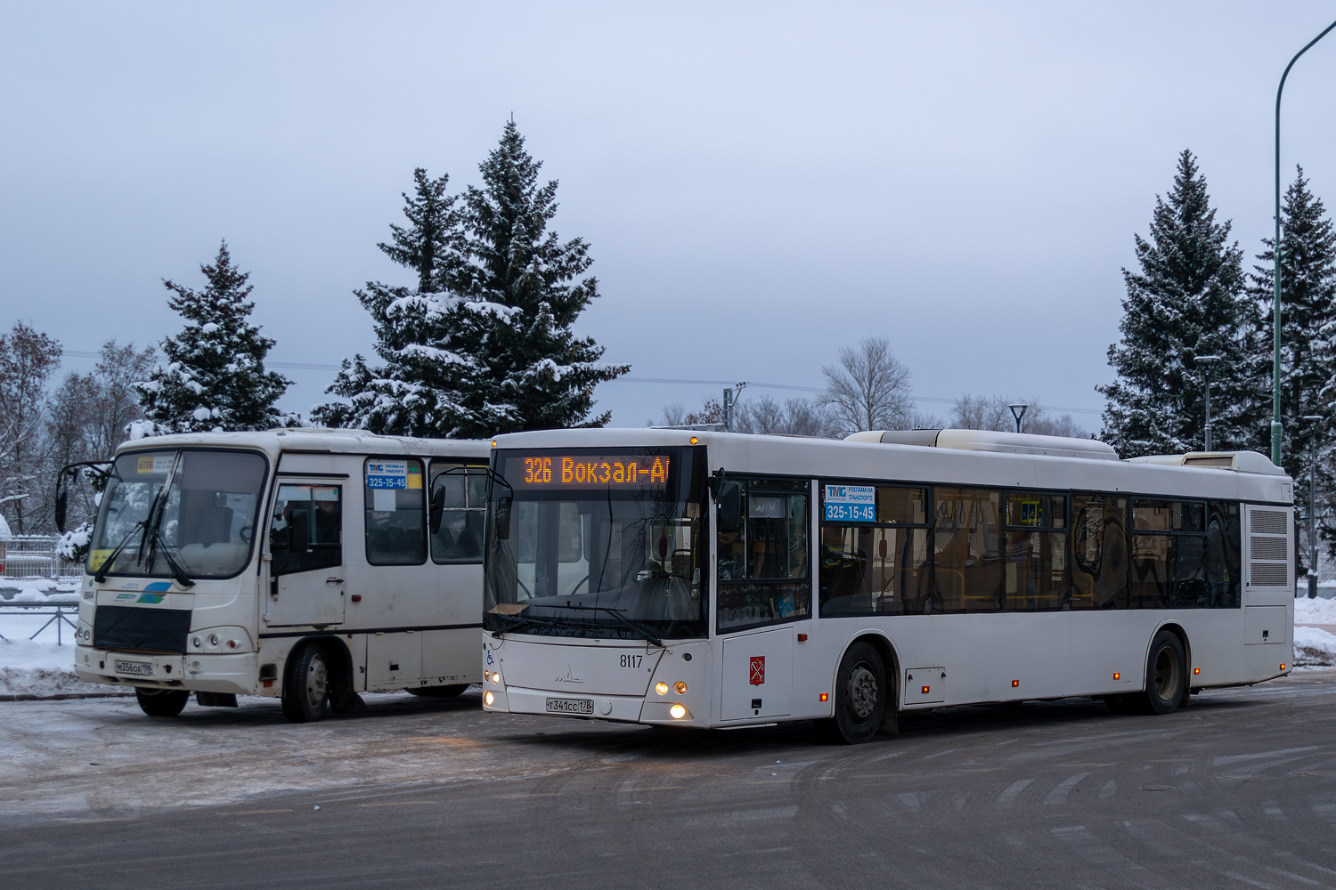 Санкт-Петербург, МАЗ-203.085 № 8117