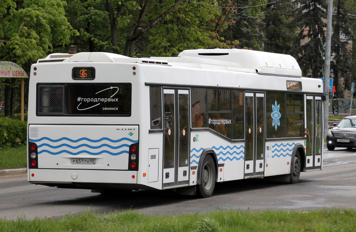 Калужская область, МАЗ-103.965 № Р 651 ТН 40