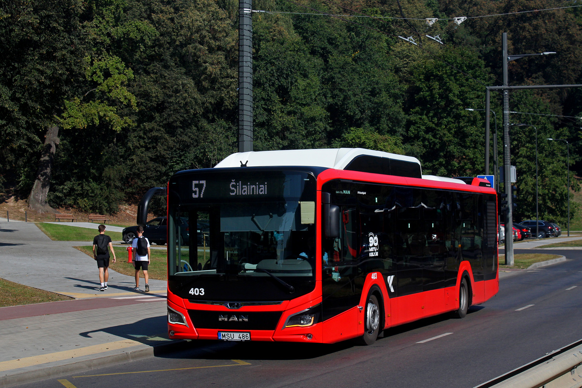 Литва, MAN 12C Lion's City 12 G NL280 EfficientHybrid № 403