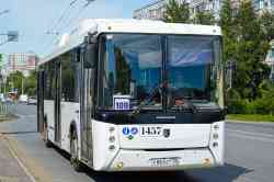 6446 КБ