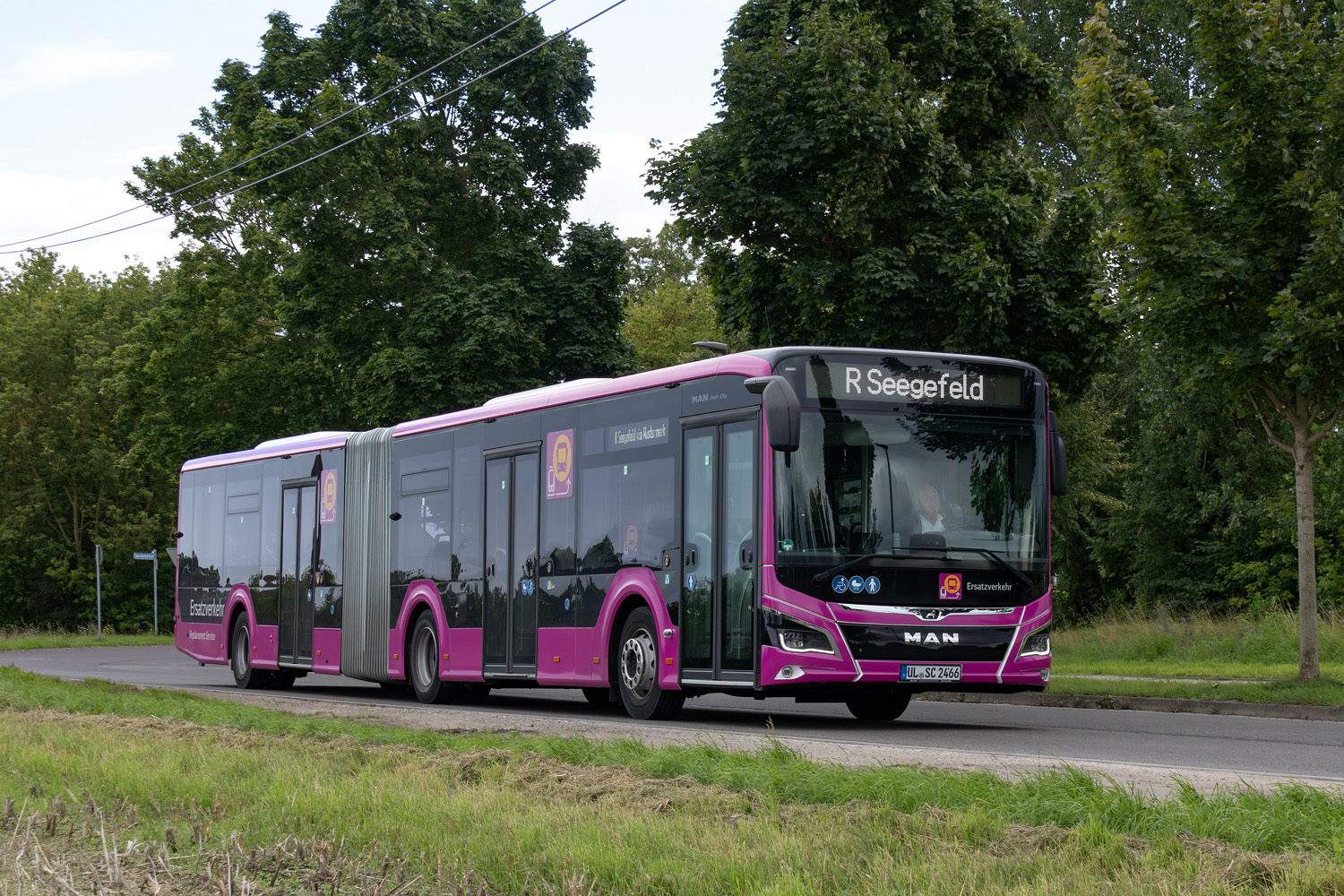 Баден-Вюртемберг, MAN 18C Lion's City 18 NG360 № UL-SC 2466; Бранденбург — SEV · Generalsanierung Hamburg — Berlin · 01.08.2025 — 30.04.2026