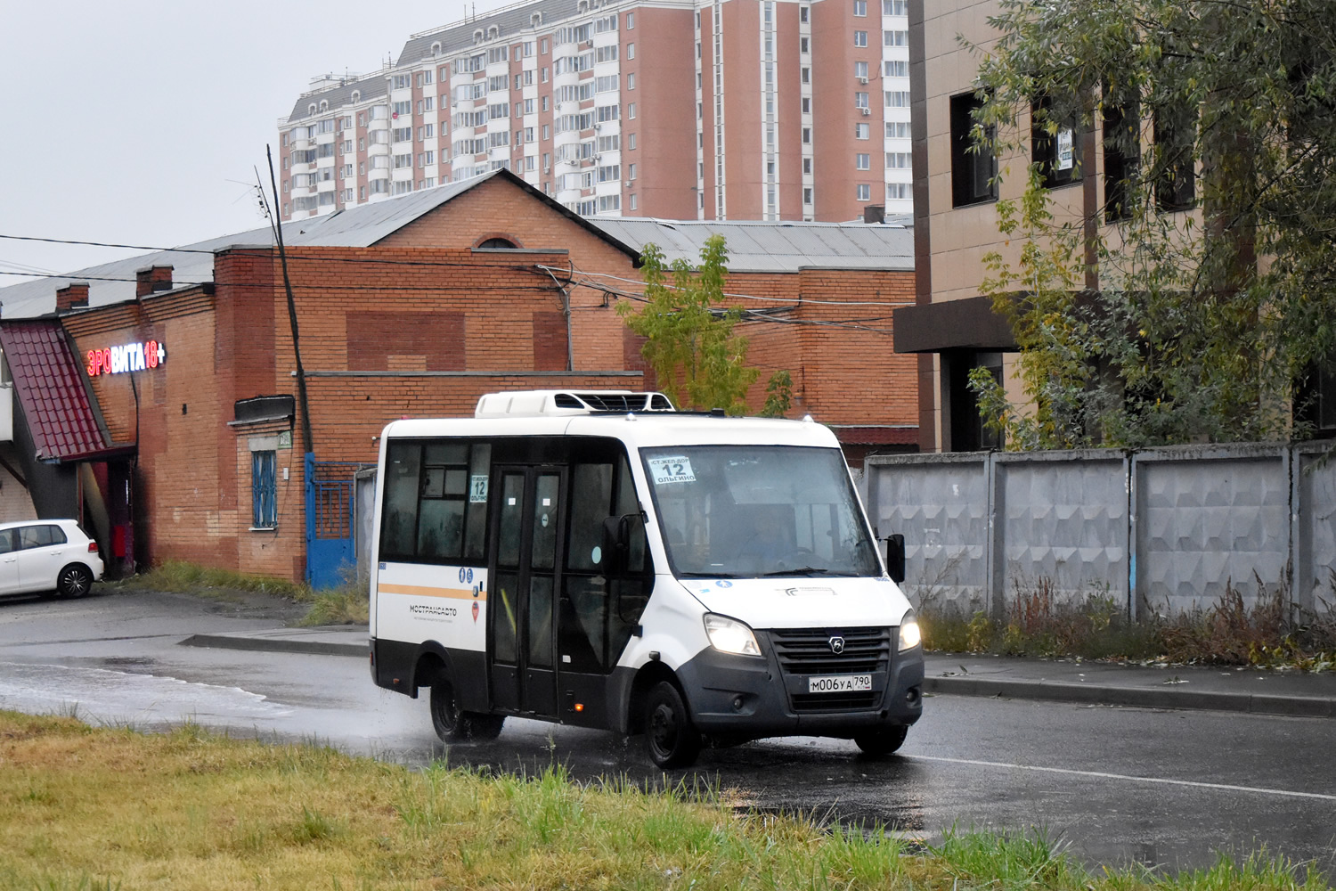 Московская область, Луидор-2250DS (ГАЗ Next) № 111073