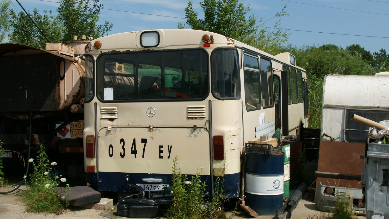 Калининградская область, Mercedes-Benz O305 № О 347 ЕУ 39