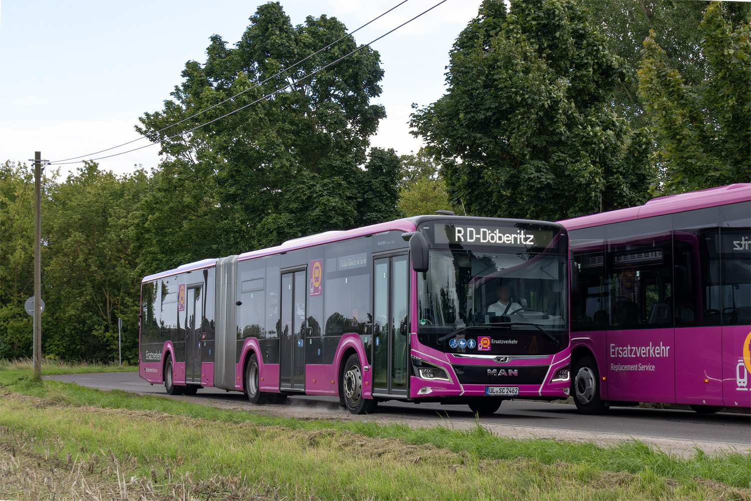 Баден-Вюртемберг, MAN 18C Lion's City 18 NG360 № UL-SC 2462; Бранденбург — SEV · Generalsanierung Hamburg — Berlin · 01.08.2025 — 30.04.2026