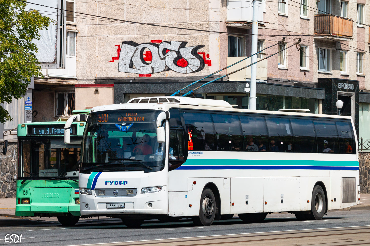 Калининградская область, Volvo 9700S NG № С 656 ЕА 39