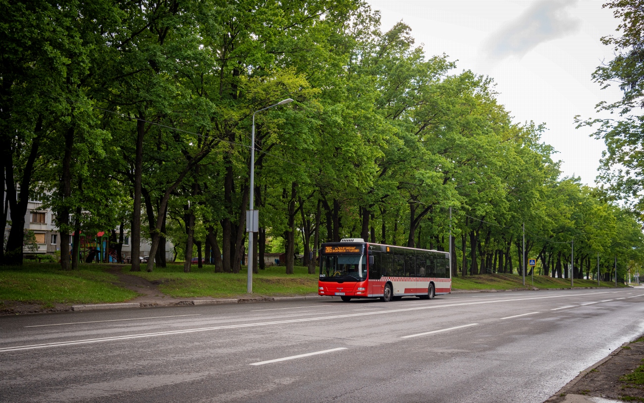 Харьковская область, MAN A21 Lion's City NL283 № 1347