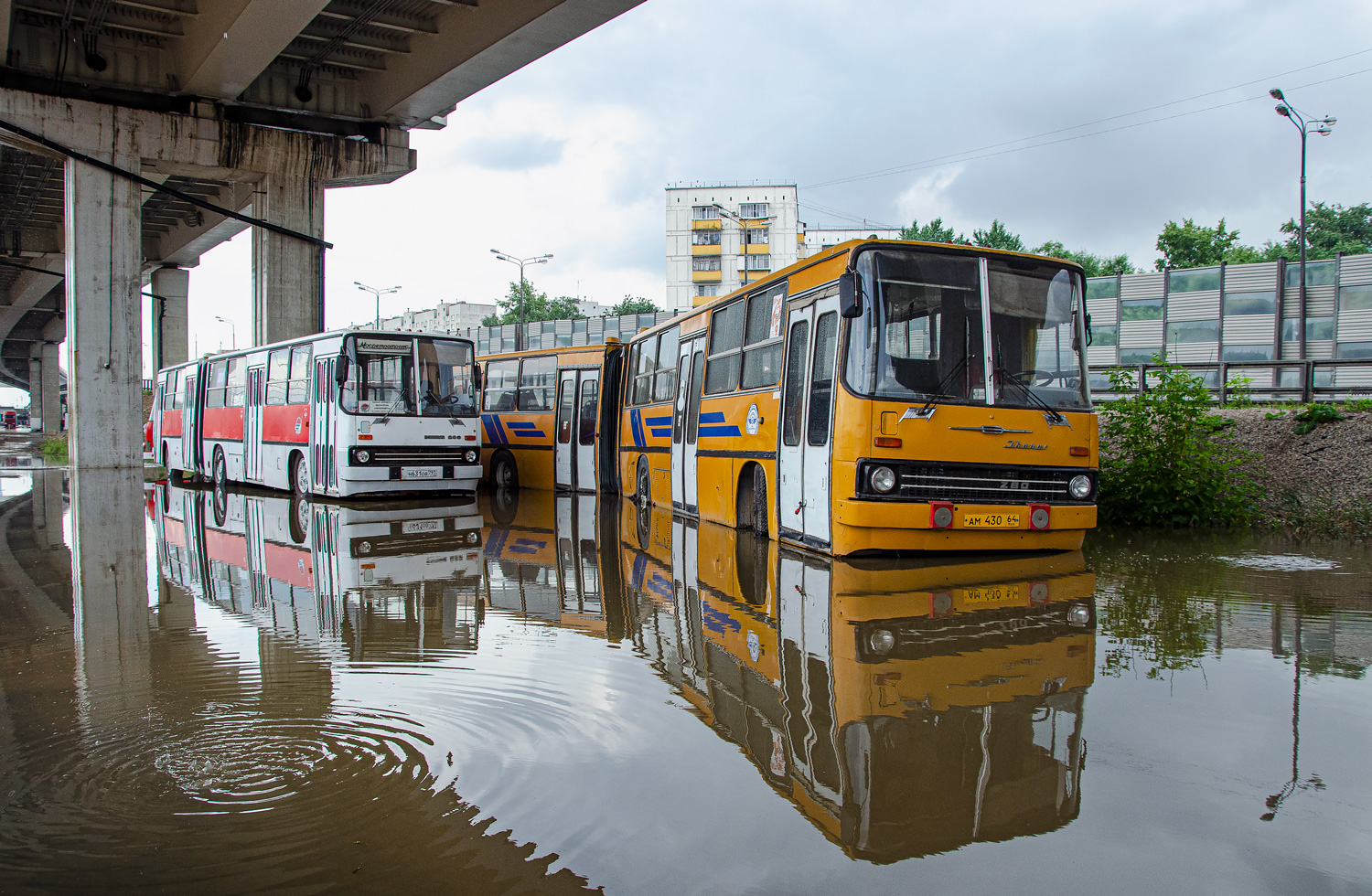 Москва, Ikarus 280.33 № Н 631 ОВ 797