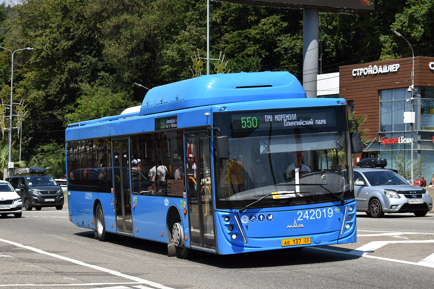 Краснодарский край, МАЗ-203.С65 № 242019