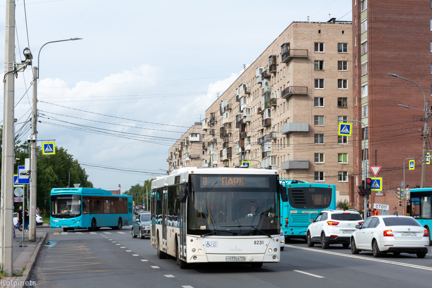 Санкт-Петербург, МАЗ-203.085 № 8231