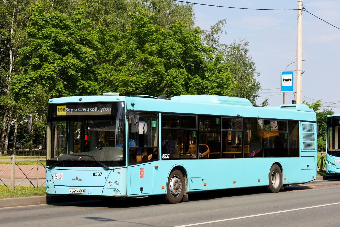 Санкт-Петербург, МАЗ-203.016 № 8537