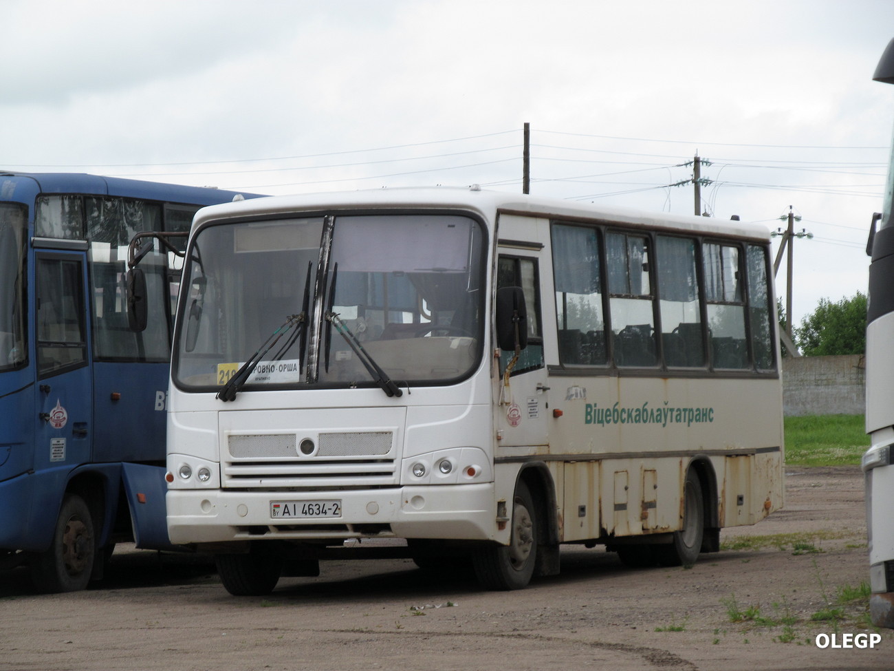 Витебская область, ПАЗ-320402-05 № АІ 4634-2