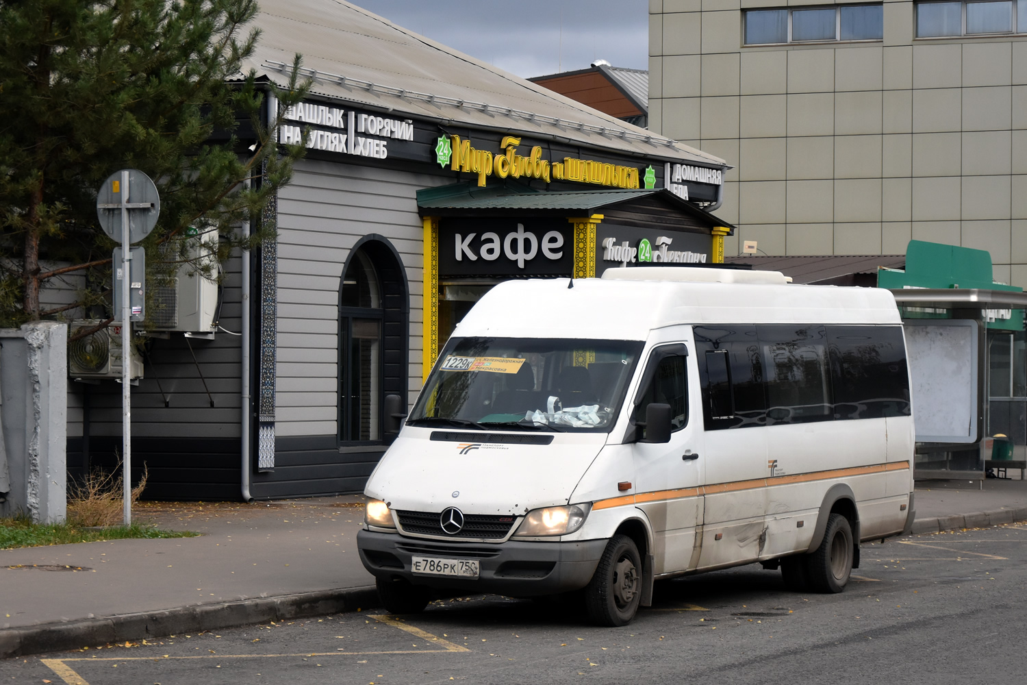 Московская область, Луидор-223237 (MB Sprinter Classic) № 016630