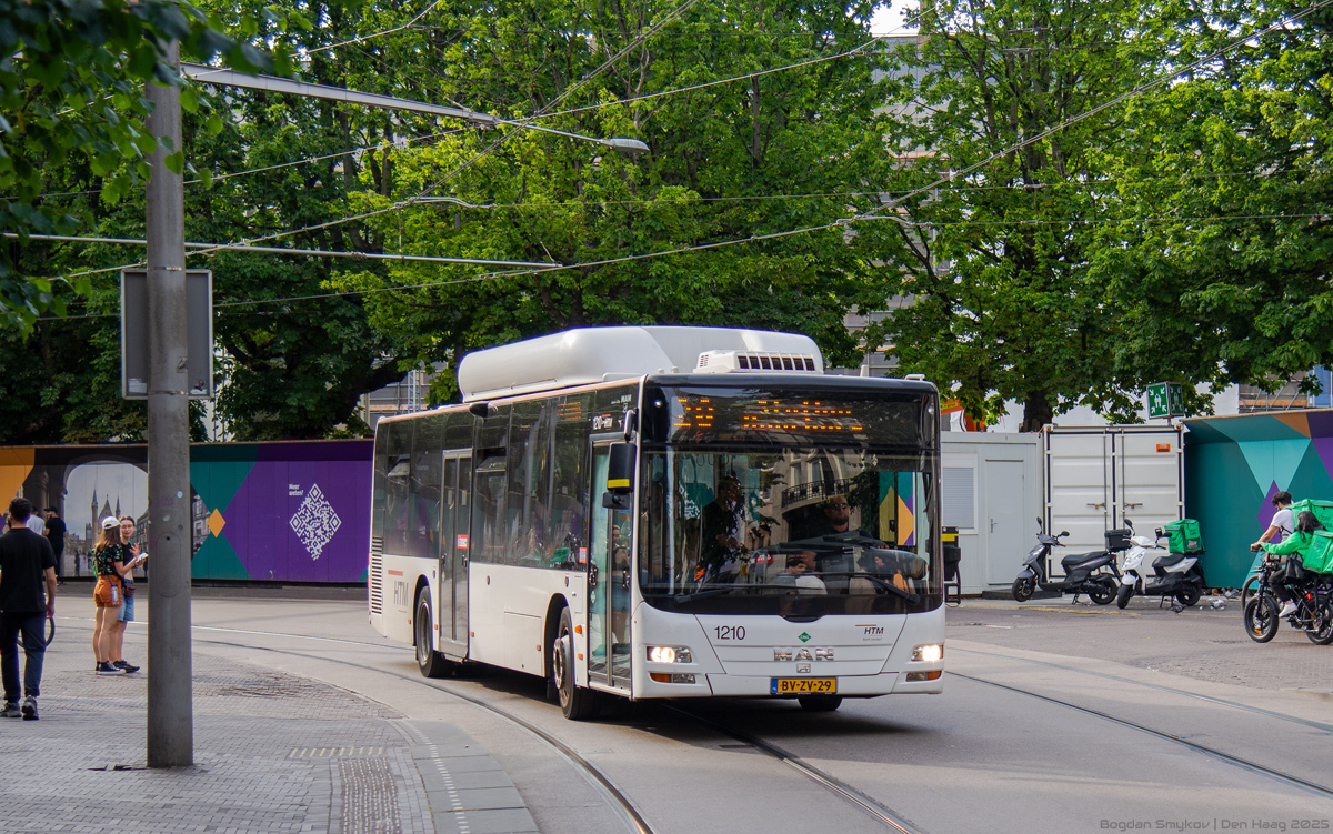 Netherlands, MAN A21 Lion's City NL243 CNG № 1210