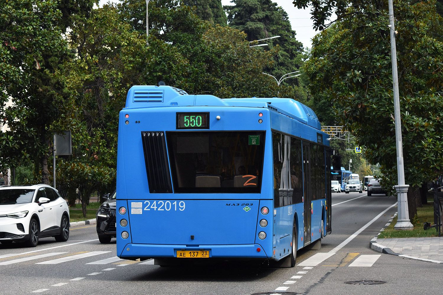 Краснодарский край, МАЗ-203.С65 № 242019