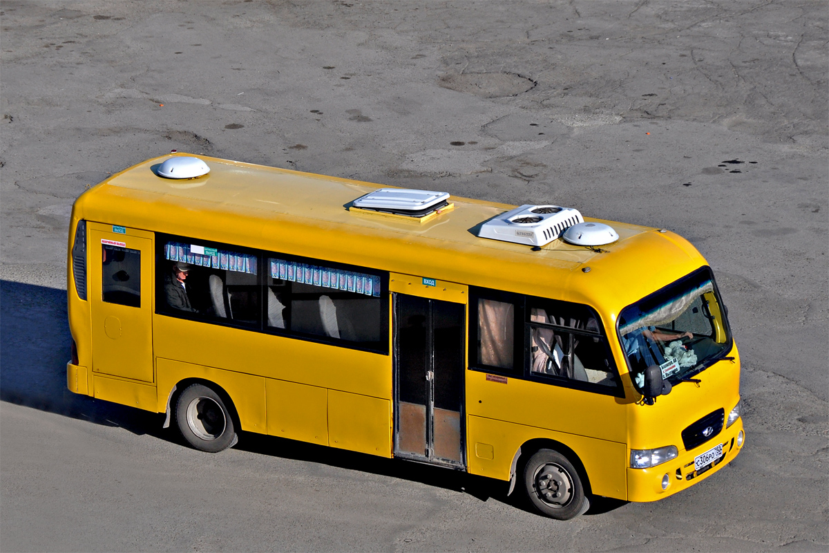 Алтайский край, Hyundai County LWB C12 (ТагАЗ) № С 306 РО 750