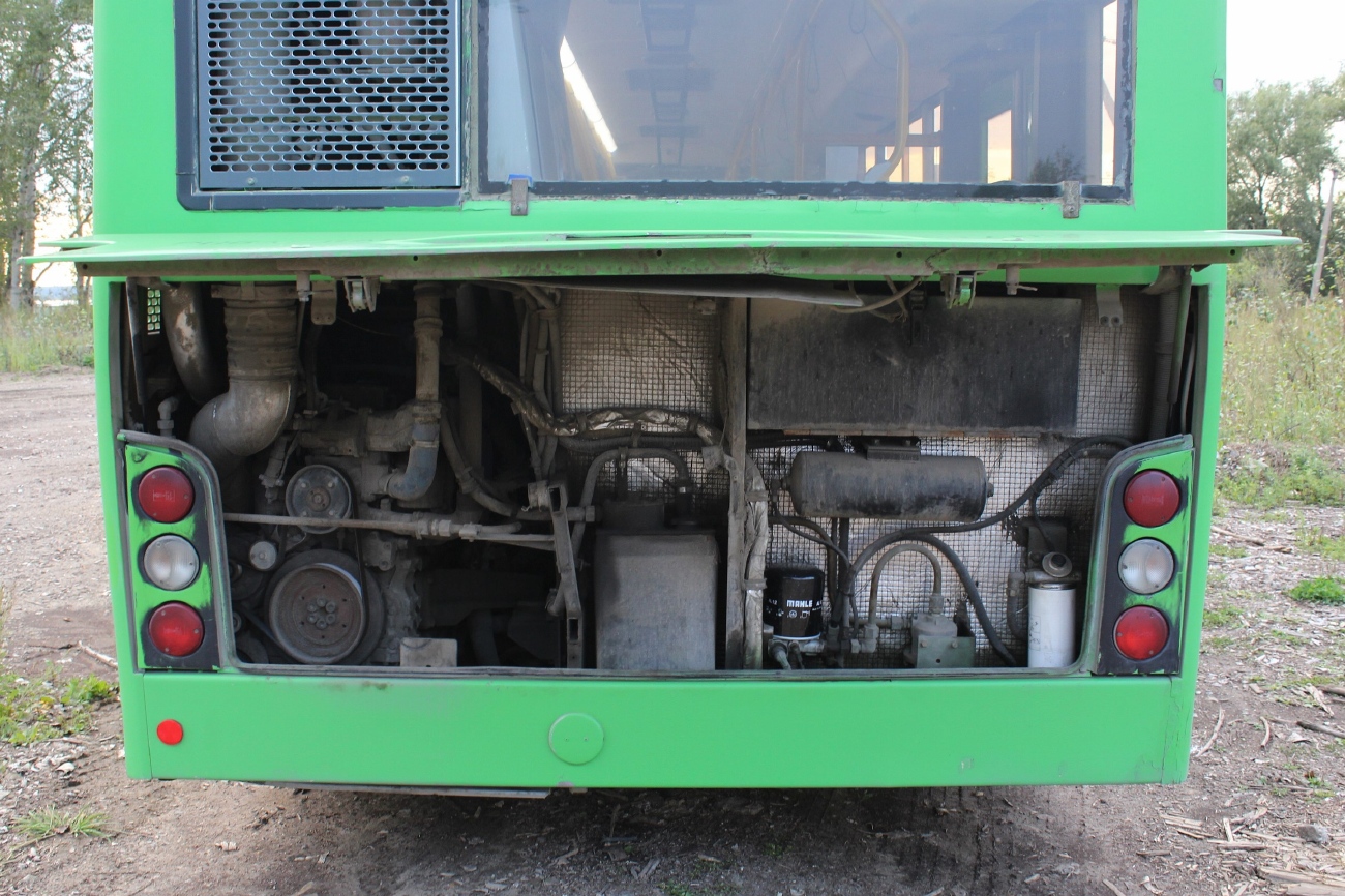 Пермский край, МАЗ-103.486 № 174