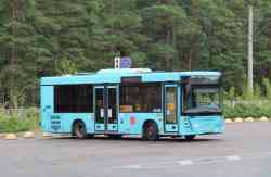 7855 КБ