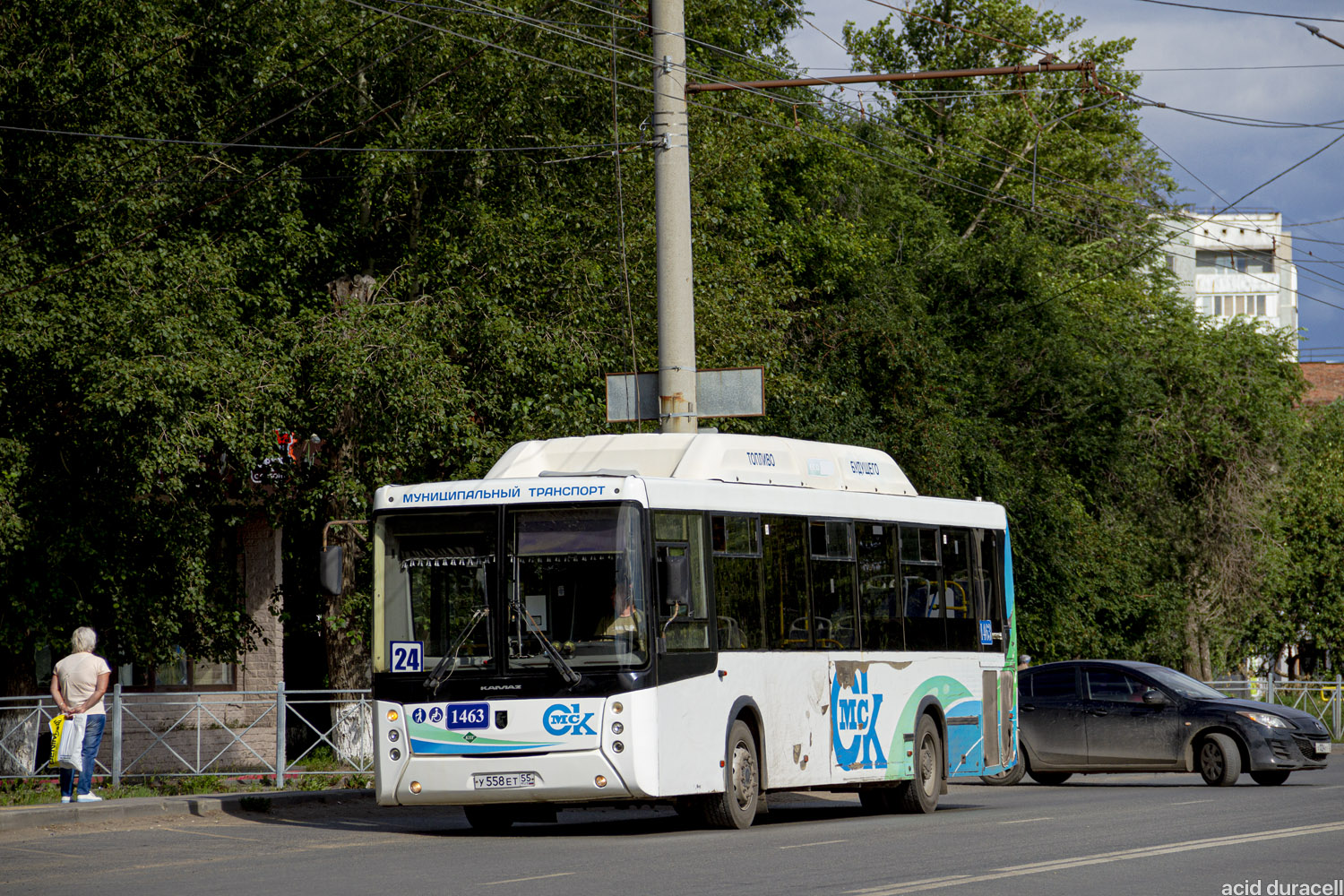 Омская область, НефАЗ-5299-30-56 № 1463