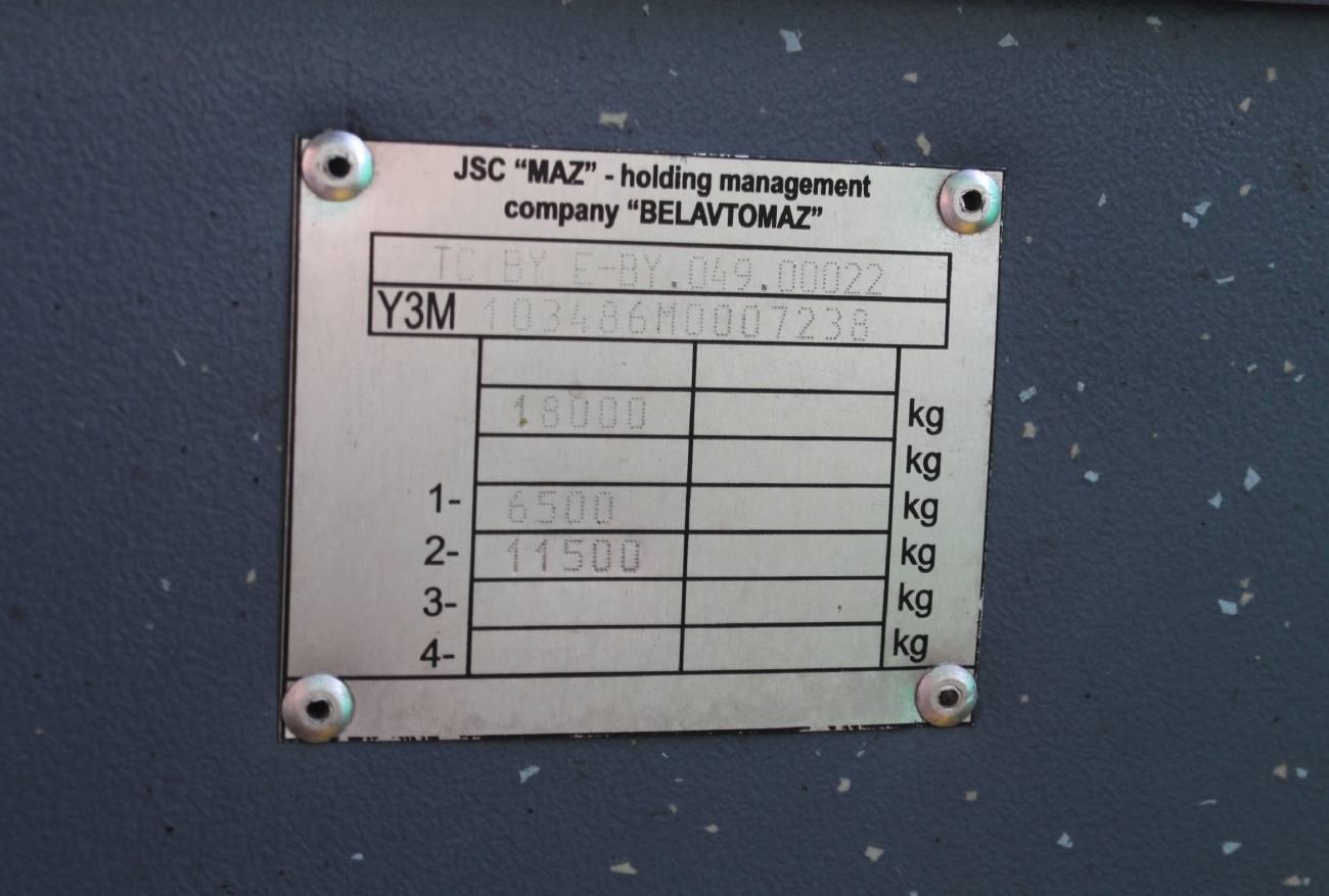 Пермский край, МАЗ-103.486 № 174