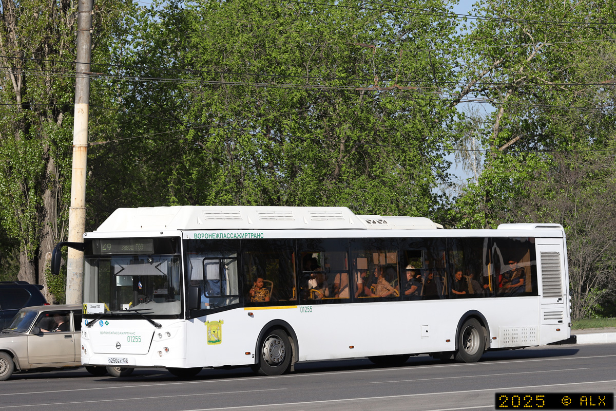 Воронежская область, ЛиАЗ-5292.67 (CNG) № 01255