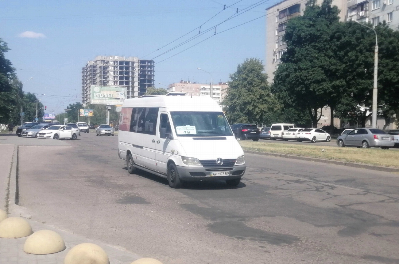 Запорожская область, Mercedes-Benz Sprinter W903 313CDI № AP 1975 BP